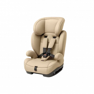 Car seat cleaning in New York