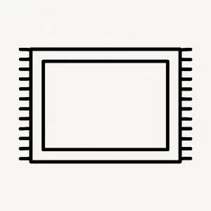 Rug cleaning in New York